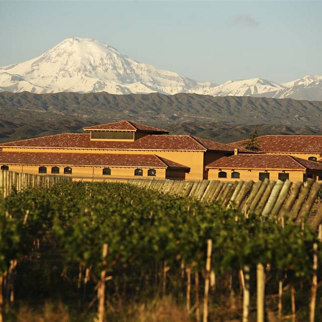 Mendoza Bodegas